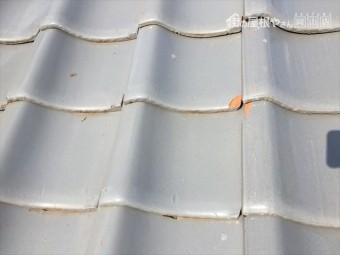 岡山市南区 屋根補修工事 屋根点検