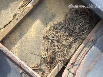 岡山市南区 屋根補修工事 屋根点検