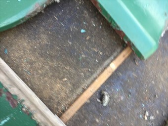 岡山市中区 雨漏り修理 瓦をめくってみる