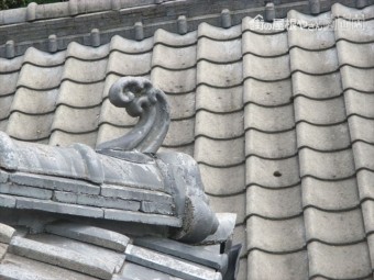 隅棟に波立