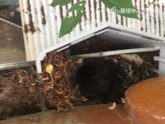 岡山市中区で集水器も落ち葉がびっしり