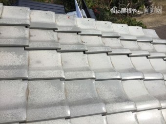 IMG_5273_R-columns2-overlay
