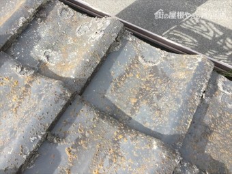 倉敷市 瓦葺き替え点検をした所苔が生えています