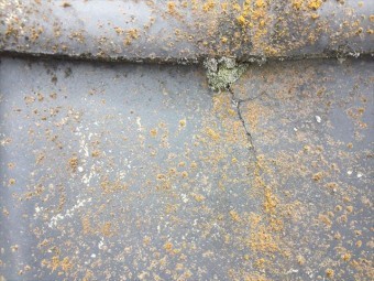 倉敷市 瓦にヒビが入っています。
