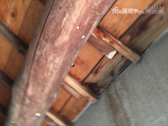岡山市東区で雨漏り点検