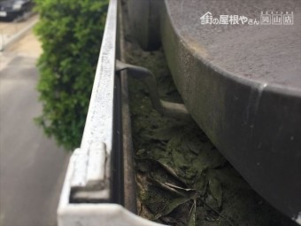 倉敷市で雨どいの点検
