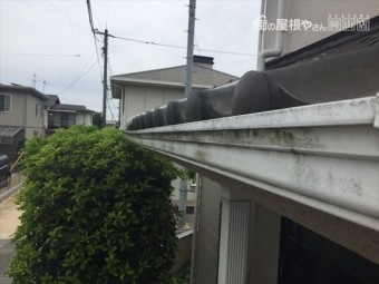倉敷市で雨どいの点検