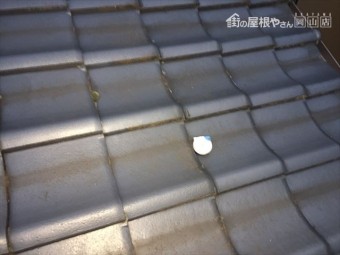 倉敷市 雨漏り点検 屋根の状態