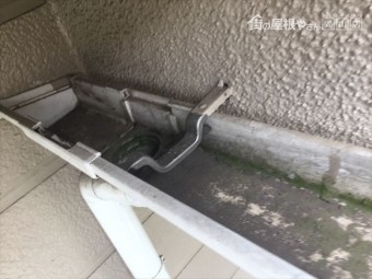倉敷市で雨どい掃除