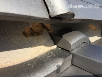倉敷市 漆喰入れ替え工事 点検