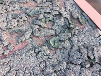 岡山市南区 雨漏り修理 倉庫 屋根に上がり点検