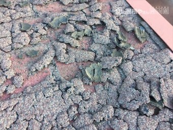 岡山市南区 雨漏り修理 倉庫 屋根に上がり点検