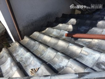 吉備中央町 雨漏り修理 屋根に上がり点検