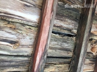 吉備中央町 雨漏り修理 野地板垂木腐っています。