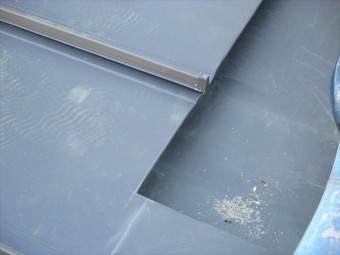 IMG_7190_R-columns2