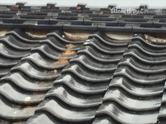 鏡野町 屋根工事 雨漏り修理 点検の模様