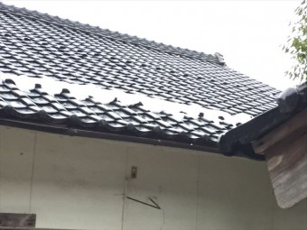 鏡野町 屋根工事 雨漏り修理 点検の模様