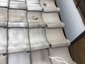 玉野市 雨漏り調査 割れ瓦がはげしいです