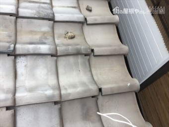 玉野市 雨漏り調査 割れ瓦がはげしいです