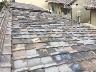 玉野市 雨漏り調査 割れ瓦がはげしいです