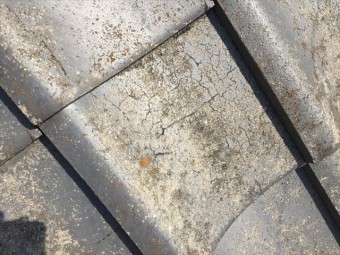 岡山市中区 瓦にクラックが入っています。