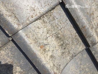 岡山市中区 瓦にクラックが入っています。