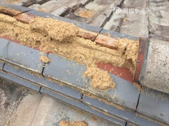 岡山市南区で棟の