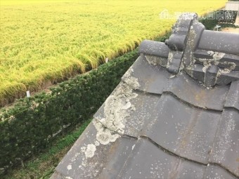 岡山市南区 雨漏り修理 瓦にコケ