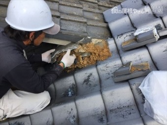 岡山市北区で台風 雨漏り修理 熨斗解体組み立て