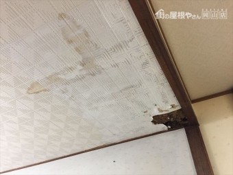 玉野市 雨漏り点検 天井に雨漏り後