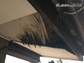 岡山市北区 雨漏り修理 軒天ケイカル版欠落