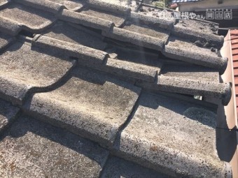 岡山市北区 雨漏り修理 瓦ずれ