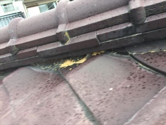 赤磐市 屋根瓦点検 屋根瓦葺き替え工事