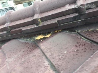 赤磐市 屋根瓦点検 屋根瓦葺き替え工事
