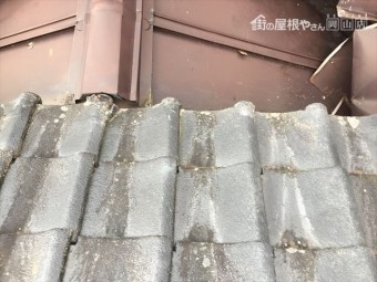 津山市 屋根修理
