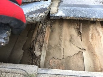 津山市 屋根修理