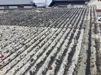 岡山市北区 スレート点検