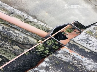 岡山市北区 雨樋にコケ