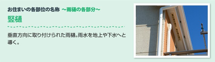 雨樋の各部分 堅樋:垂直方向に取り付けられた雨樋