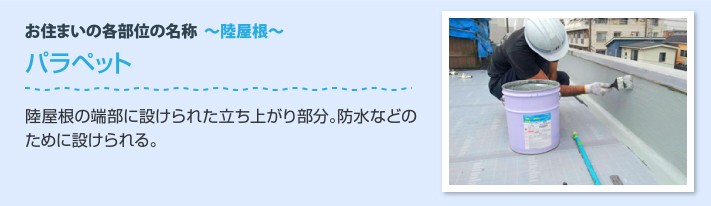 陸屋根の各部位 パラペット:陸屋根の端部に設けられた立ち上がり部分
