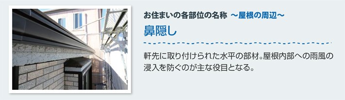 屋根の各部位 鼻隠し:軒先に取り付けられた部材。屋根内部への雨風の侵入を防ぎます
