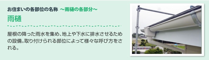 雨樋の各部分 雨樋:屋根に降った雨水を集め、地上や下水に排水させるための設備