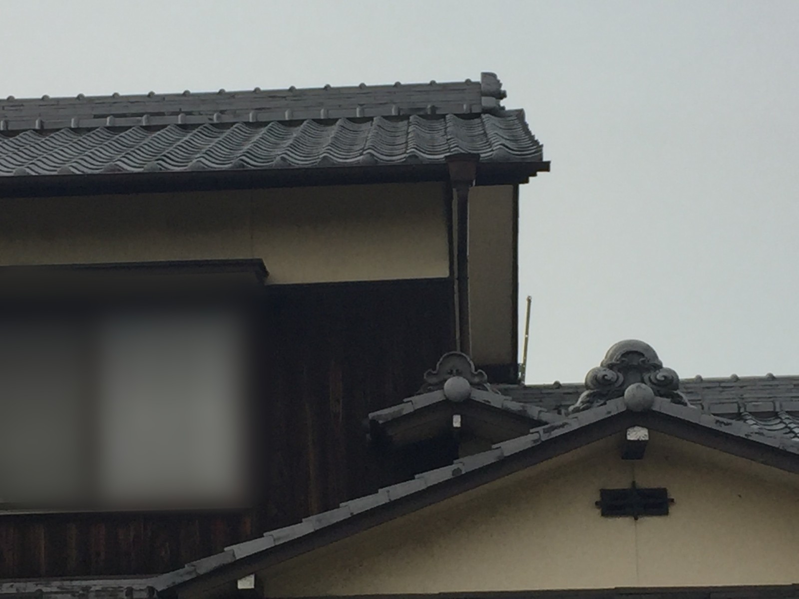 岡山市南区でいぶし瓦の寒割れを点検｜母屋の竪樋の破損も確認