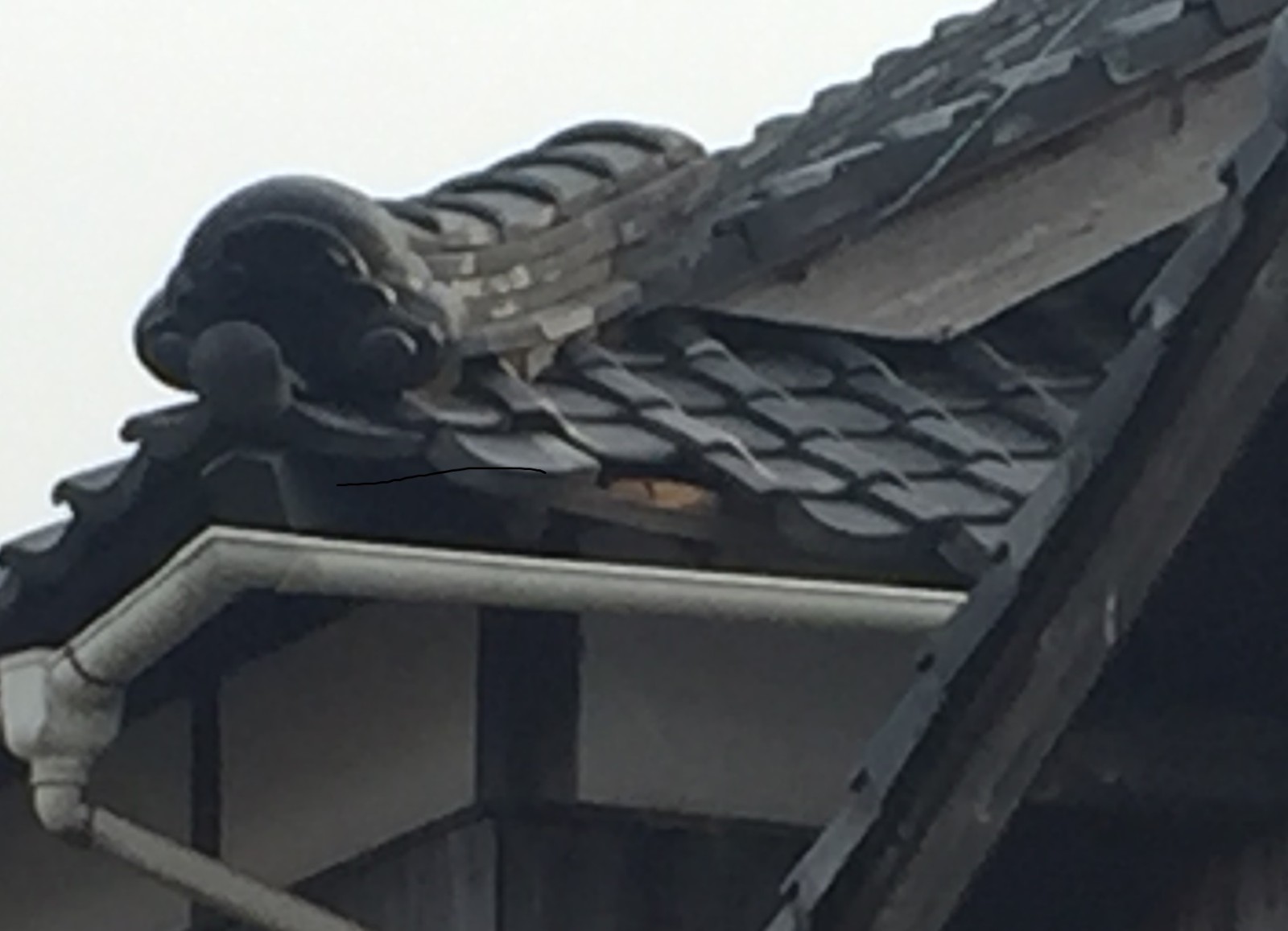 鬼瓦の下で瓦がなくなり下の木がのぞく長屋の屋根の端