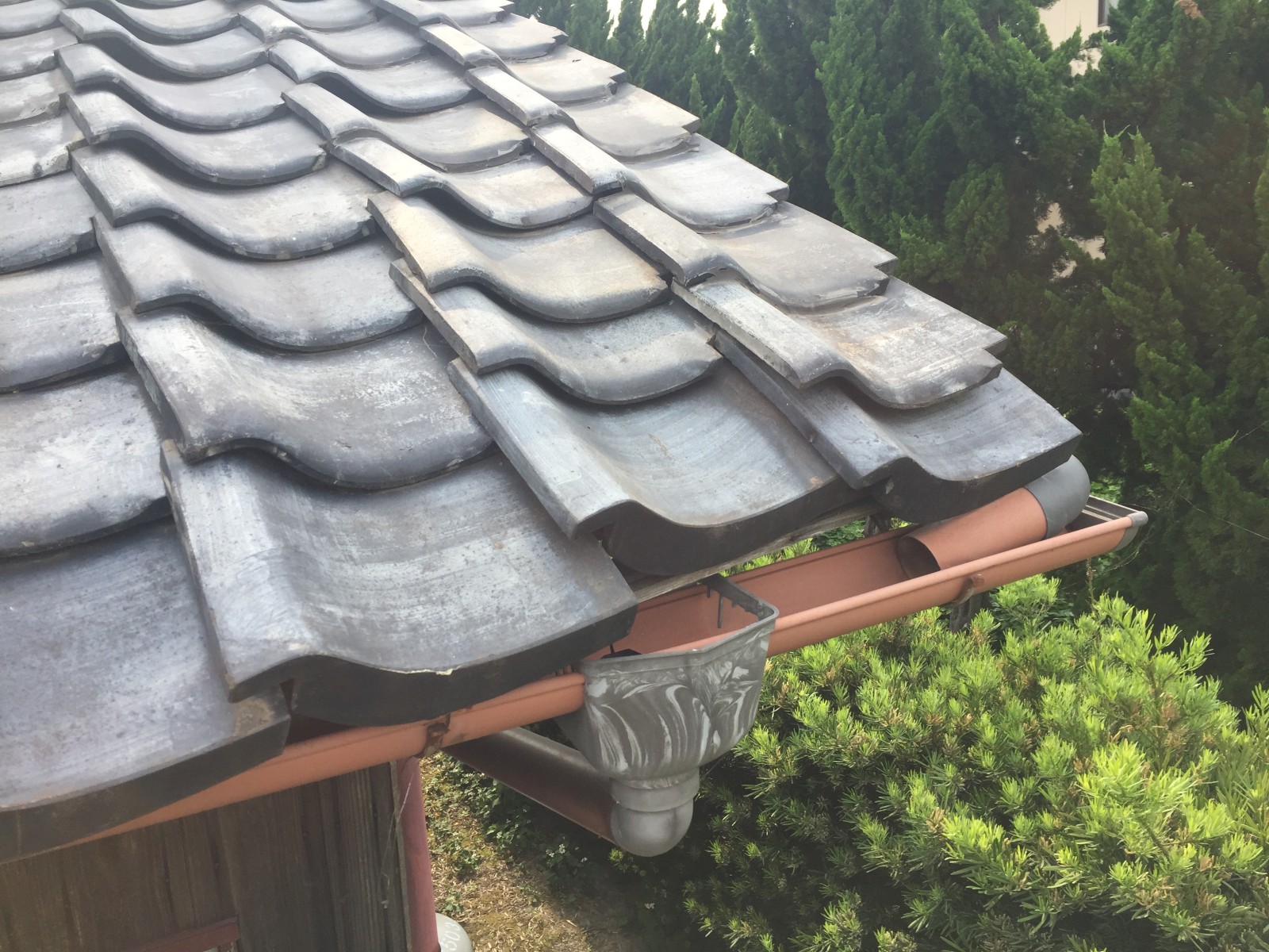 雨樋の上まで先が出てきた屋根の角の軒先の瓦