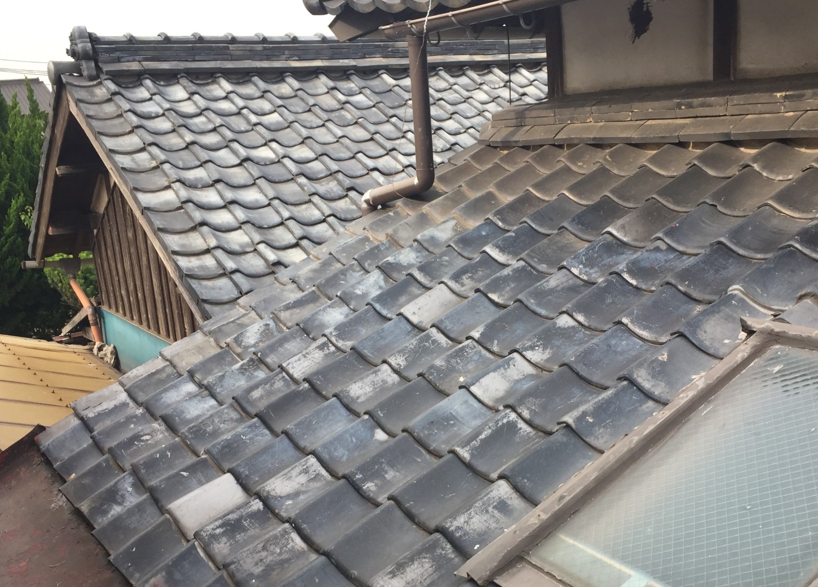 屋根の上から見た長屋の天窓と、まわりに並ぶ瓦