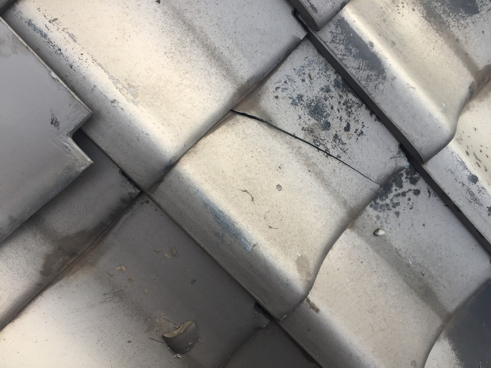 表面に細いひびが横に走った母屋のいぶし瓦