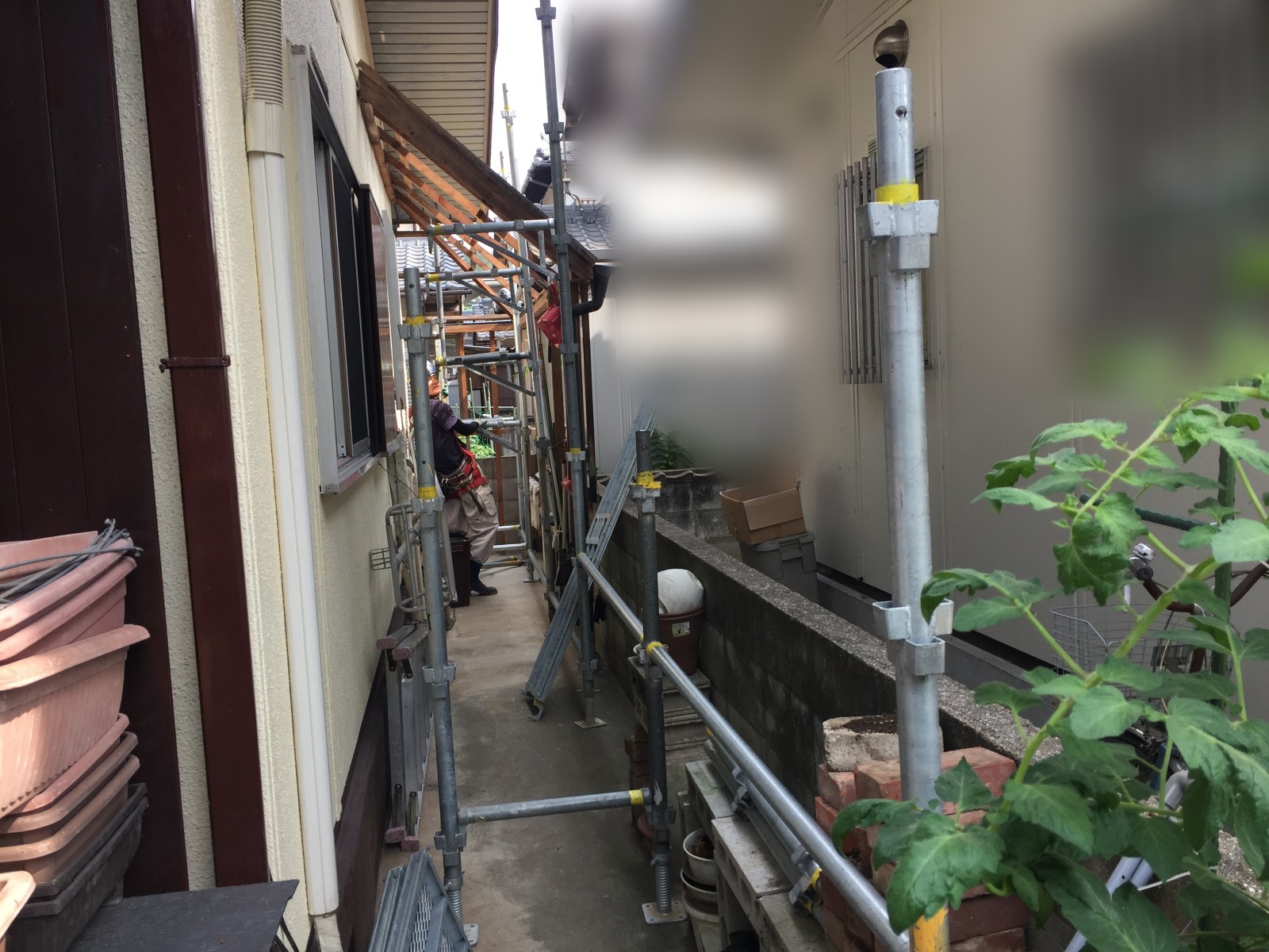 植木鉢が並ぶ建物と塀の間の狭い通路に設置した足場