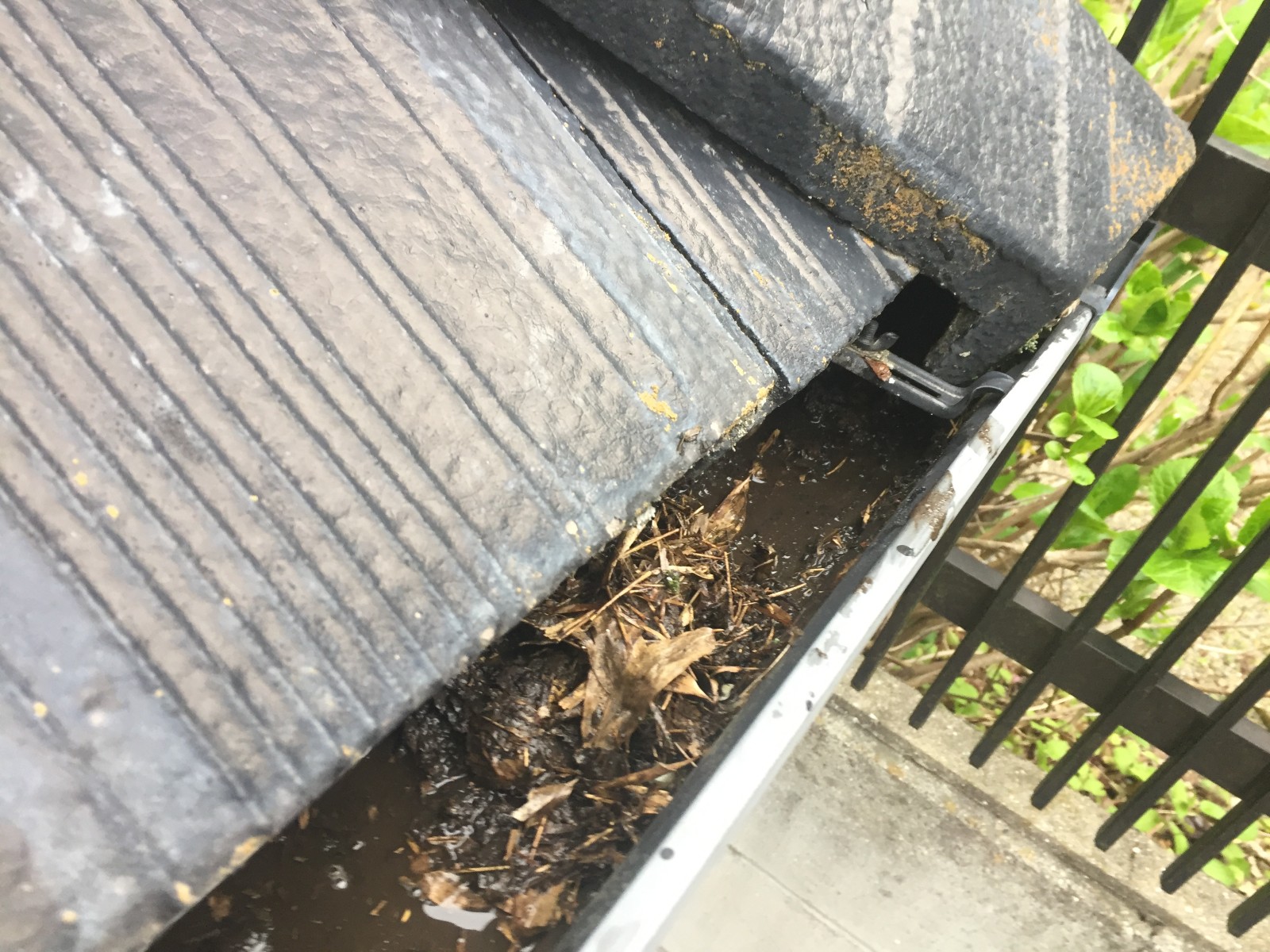 屋根の端の雨どいの中にたまった落ち葉や土
