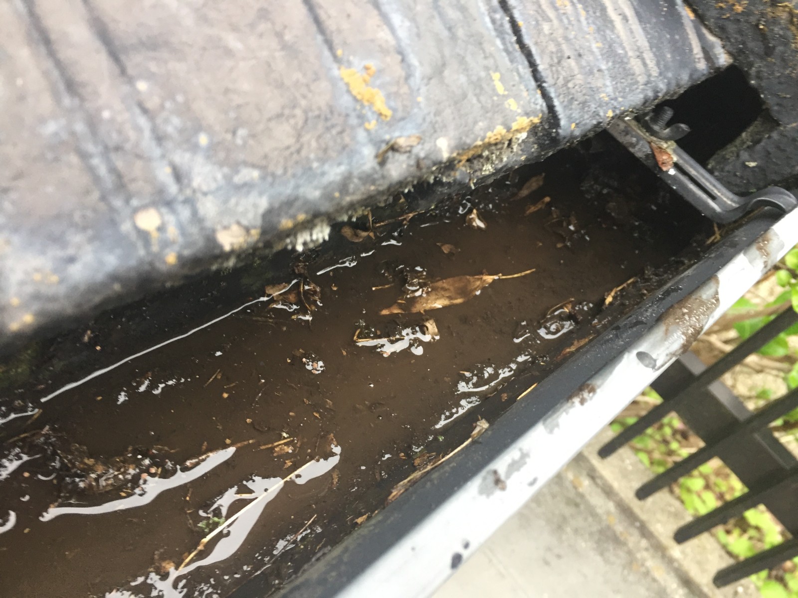 落ち葉でつまり雨水が流れずに残っている雨どい